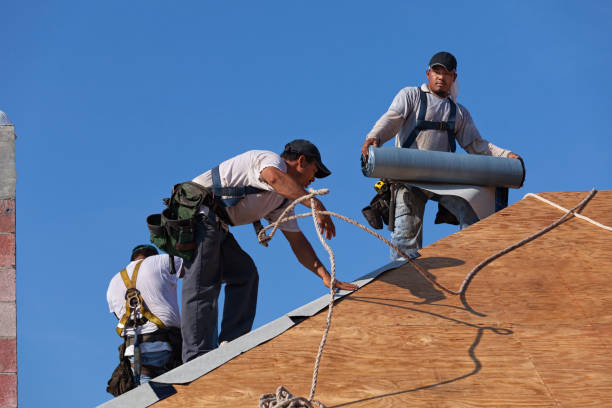 Best Roof Gutter Cleaning  in Laguna Heights, TX