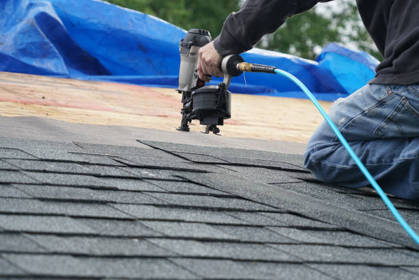 Professional Roofing Contractor in Laguna Heights, TX